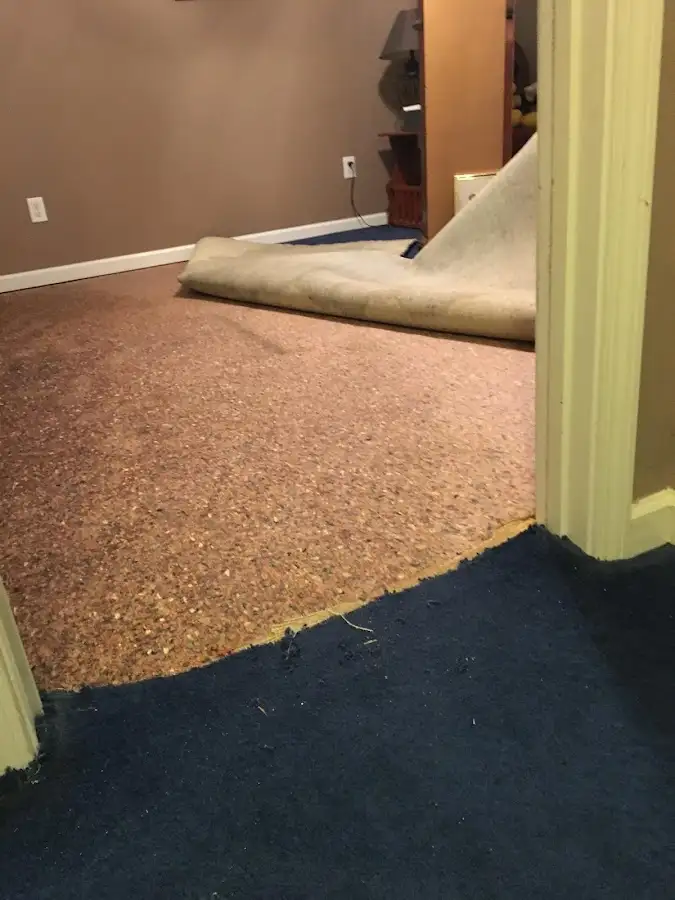 Carpet pad removal revealing water damage during Drying & Dehumidification in Wyckoff